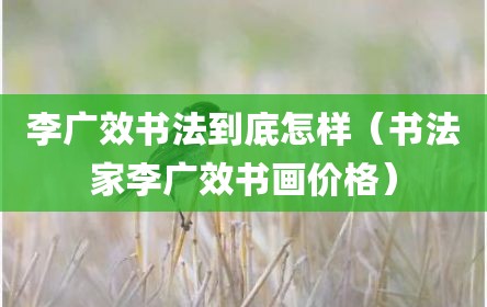 李广效书法到底怎样（书法家李广效书画价格）