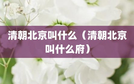 清朝北京叫什么（清朝北京叫什么府）