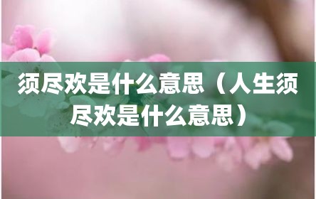 须尽欢是什么意思（人生须尽欢是什么意思）