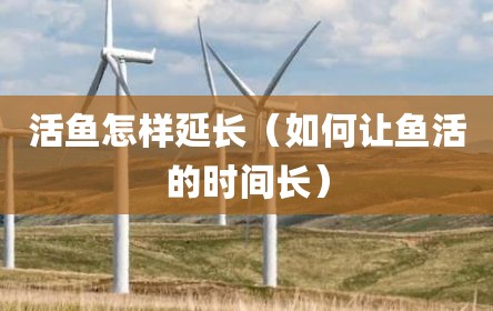 活鱼怎样延长（如何让鱼活的时间长）