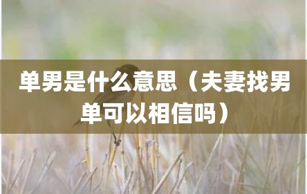 单男是什么意思（夫妻找男单可以相信吗）