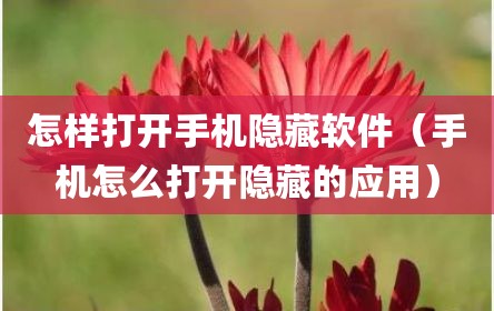 怎样打开手机隐藏软件（手机怎么打开隐藏的应用）