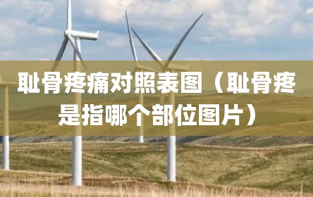 耻骨疼痛对照表图（耻骨疼是指哪个部位图片）