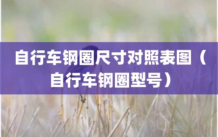 自行车钢圈尺寸对照表图（自行车钢圈型号）