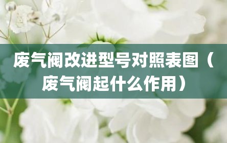 废气阀改进型号对照表图（废气阀起什么作用）