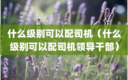 什么级别可以配司机（什么级别可以配司机领导干部）