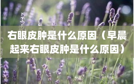 右眼皮肿是什么原因（早晨起来右眼皮肿是什么原因）