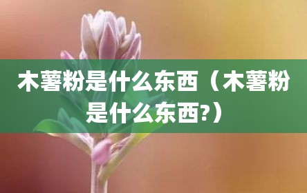 木薯粉是什么东西（木薯粉是什么东西?）