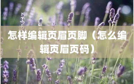 怎样编辑页眉页脚（怎么编辑页眉页码）