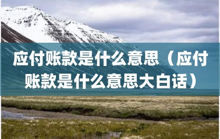 应付账款是什么意思（应付账款是什么意思大白话）