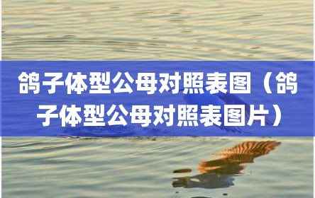 鸽子体型公母对照表图（鸽子体型公母对照表图片）