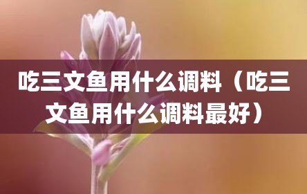 吃三文鱼用什么调料（吃三文鱼用什么调料最好）