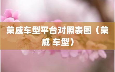 荣威车型平台对照表图（荣威 车型）