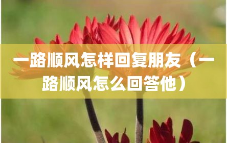一路顺风怎样回复朋友（一路顺风怎么回答他）