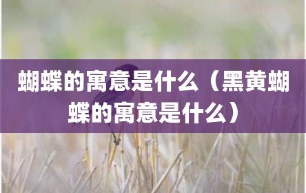 蝴蝶的寓意是什么（黑黄蝴蝶的寓意是什么）