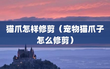 猫爪怎样修剪（宠物猫爪子怎么修剪）