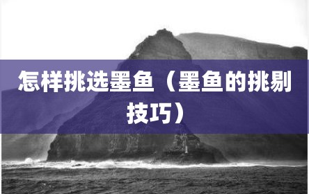 怎样挑选墨鱼（墨鱼的挑剔技巧）