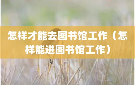 怎样才能去图书馆工作（怎样能进图书馆工作）