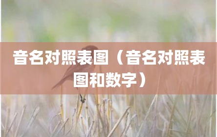 音名对照表图（音名对照表图和数字）