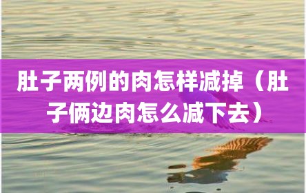 肚子两例的肉怎样减掉（肚子俩边肉怎么减下去）