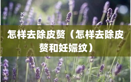 怎样去除皮赘（怎样去除皮赘和妊娠纹）