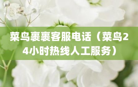 菜鸟裹裹客服电话（菜鸟24小时热线人工服务）