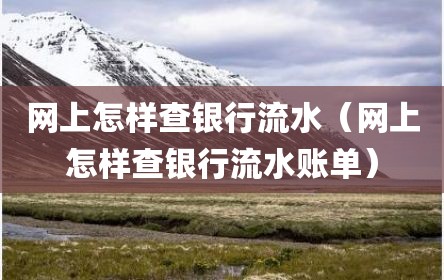 网上怎样查银行流水（网上怎样查银行流水账单）