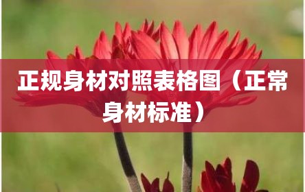 正规身材对照表格图（正常身材标准）