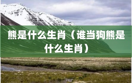 熊是什么生肖（谁当狗熊是什么生肖）