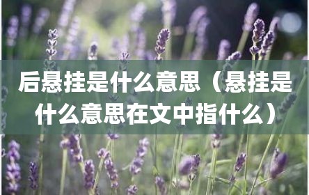 后悬挂是什么意思（悬挂是什么意思在文中指什么）