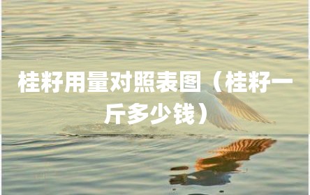 桂籽用量对照表图（桂籽一斤多少钱）