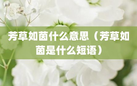 芳草如茵什么意思（芳草如茵是什么短语）