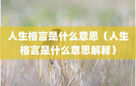 人生格言是什么意思（人生格言是什么意思解释）