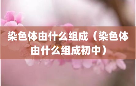 染色体由什么组成（染色体由什么组成初中）