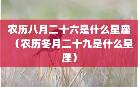 农历八月二十六是什么星座（农历冬月二十九是什么星座）