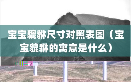 宝宝貔貅尺寸对照表图（宝宝貔貅的寓意是什么）
