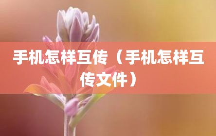手机怎样互传（手机怎样互传文件）