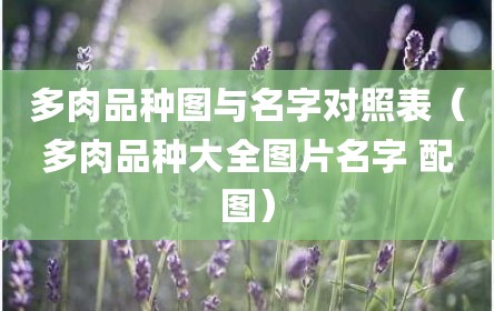 多肉品种图与名字对照表（多肉品种大全图片名字 配图）