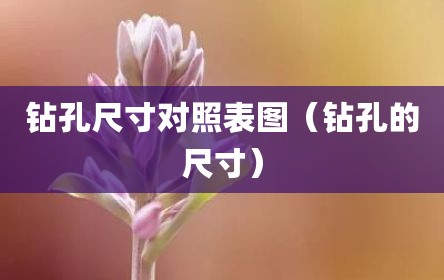 钻孔尺寸对照表图（钻孔的尺寸）