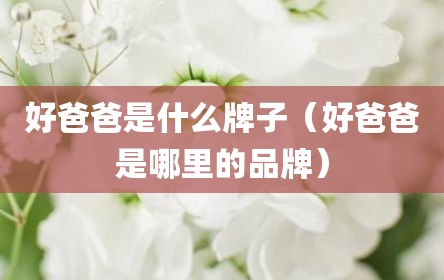 好爸爸是什么牌子（好爸爸是哪里的品牌）