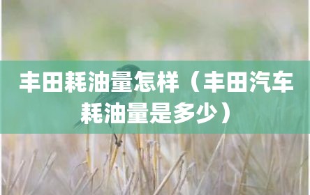 丰田耗油量怎样（丰田汽车耗油量是多少）