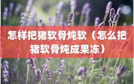 怎样把猪软骨炖软（怎么把猪软骨炖成果冻）