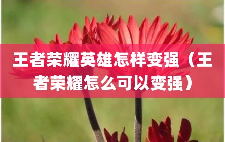 王者荣耀英雄怎样变强（王者荣耀怎么可以变强）