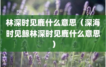 林深时见鹿什么意思（深海时见鲸林深时见鹿什么意思）