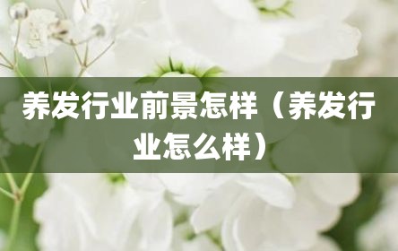 养发行业前景怎样（养发行业怎么样）