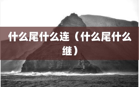 什么尾什么连（什么尾什么继）