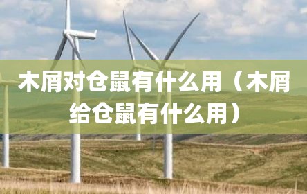 木屑对仓鼠有什么用（木屑给仓鼠有什么用）
