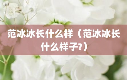 范冰冰长什么样（范冰冰长什么样子?）