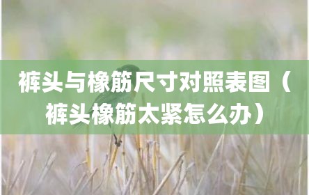 裤头与橡筋尺寸对照表图（裤头橡筋太紧怎么办）