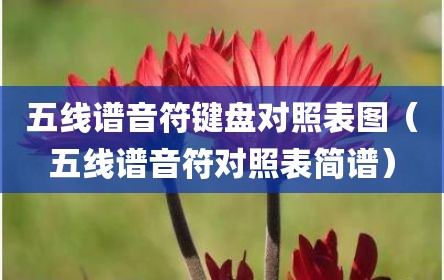 五线谱音符键盘对照表图（五线谱音符对照表简谱）